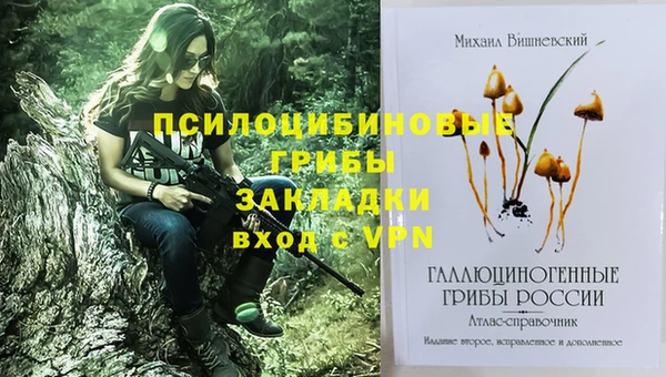 спиды Алзамай